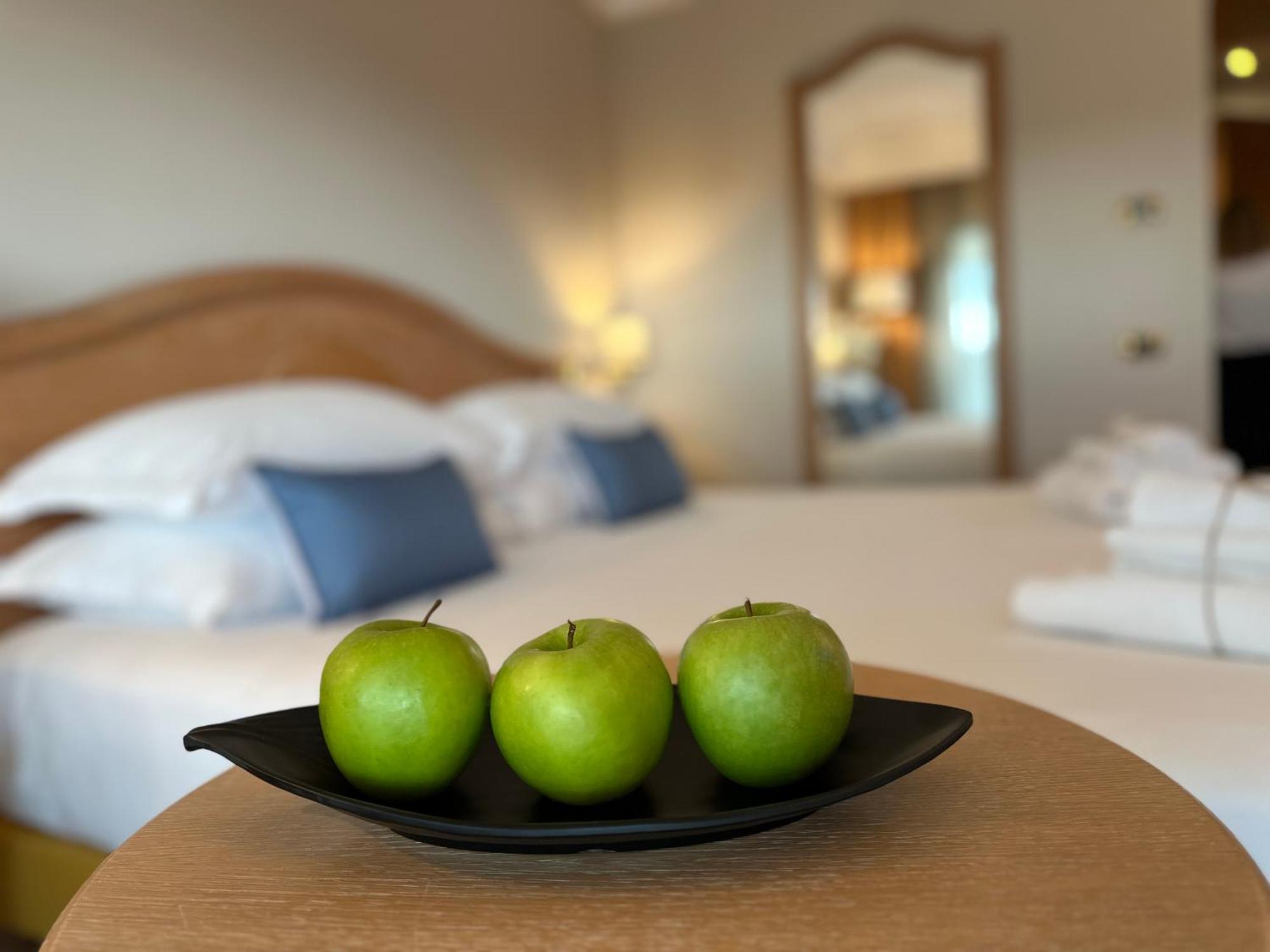 Palace Hotel Desenzano Desenzano del Garda Zewnętrze zdjęcie
